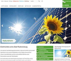 Website www.ewerk-badradkersburg.at >>